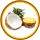 Helador Veganes Kokosnuss-Ananas Eis